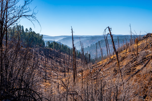 Photo of fire burning in upper Black River