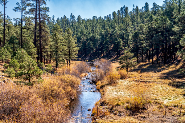 Photo of West Fork of Black River