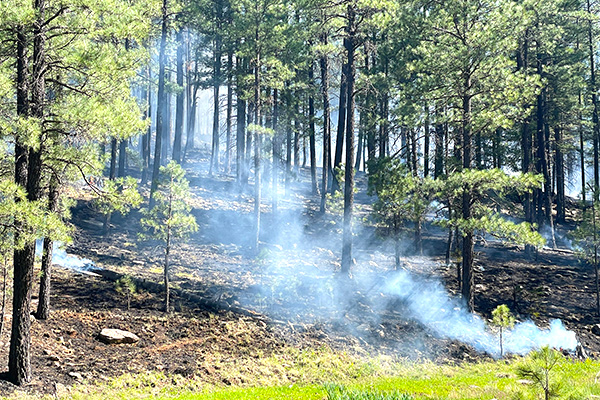 Photo of prescribed burn smoking in White Mountains