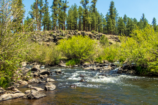 Photo of the confluence of the West and East Forks of the Black River